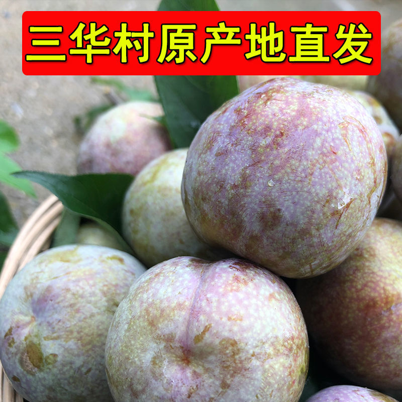 正宗韶关翁源三华李，专业对接美团仓/多多仓长期稳定供应！
