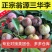 正宗韶关翁源三华李，专业对接美团仓/多多仓长期稳定供应！