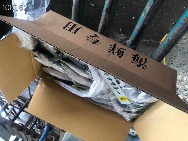 船冻板鲐鲅鱼，一条3-4两，一板30斤，一吨6000