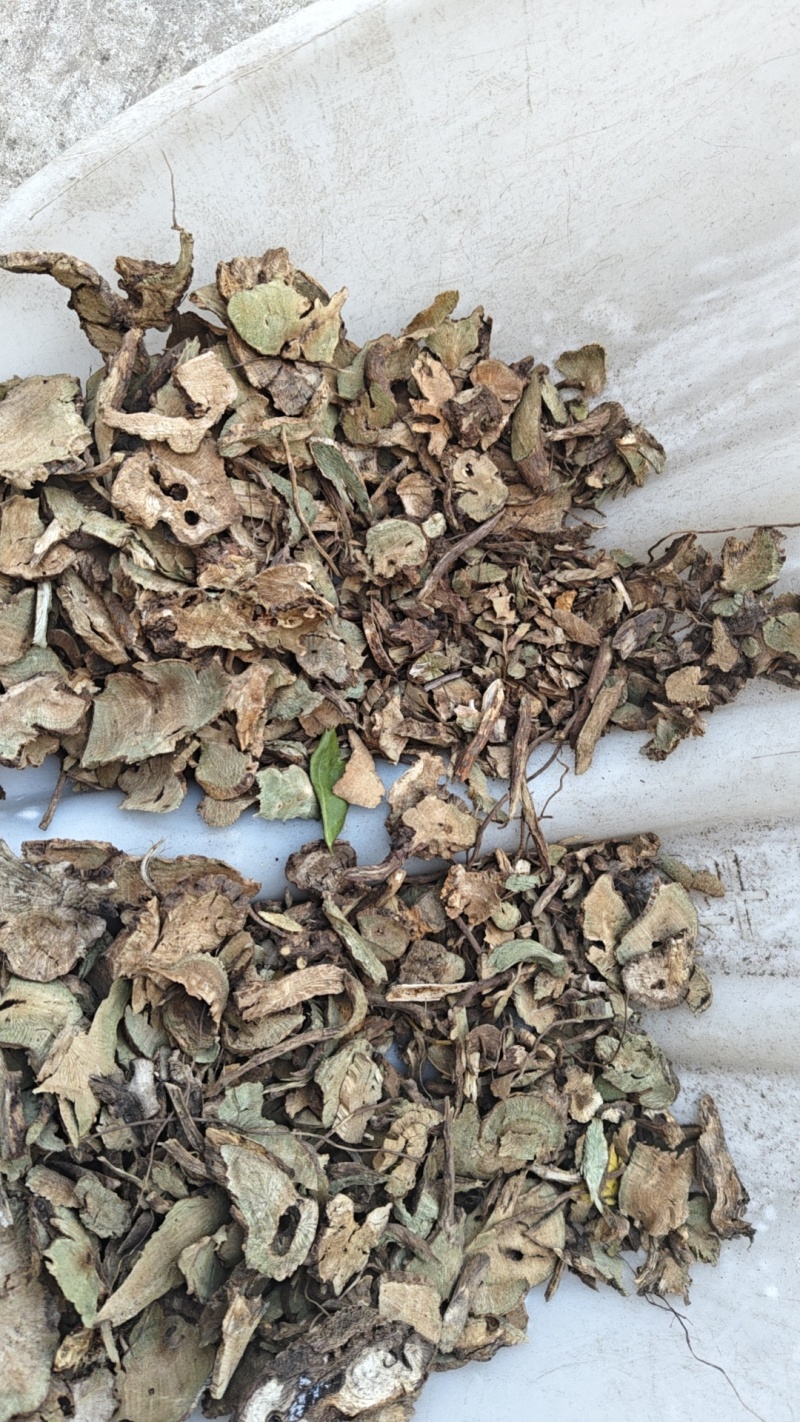 香茶菜