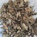 香茶菜