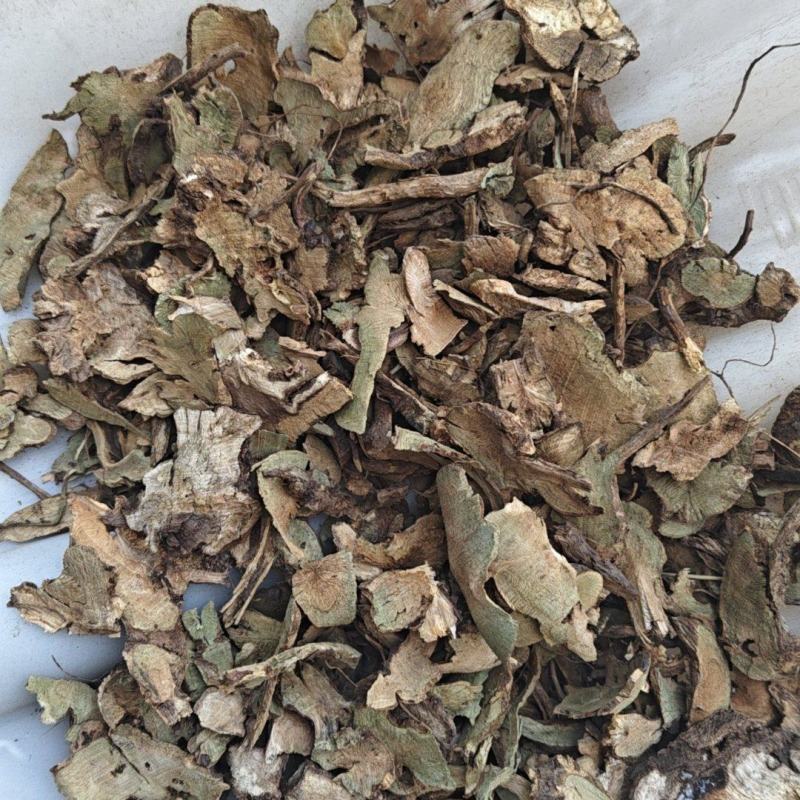 香茶菜