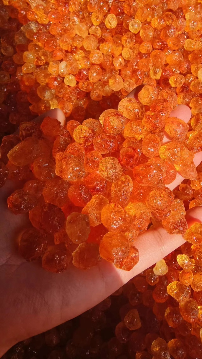 桃胶人工修剪桃胶纯手工修剪品质保障产地直销量大包邮