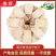 【精品黄芪纯手工指甲片】传统古法工艺纯手工制作