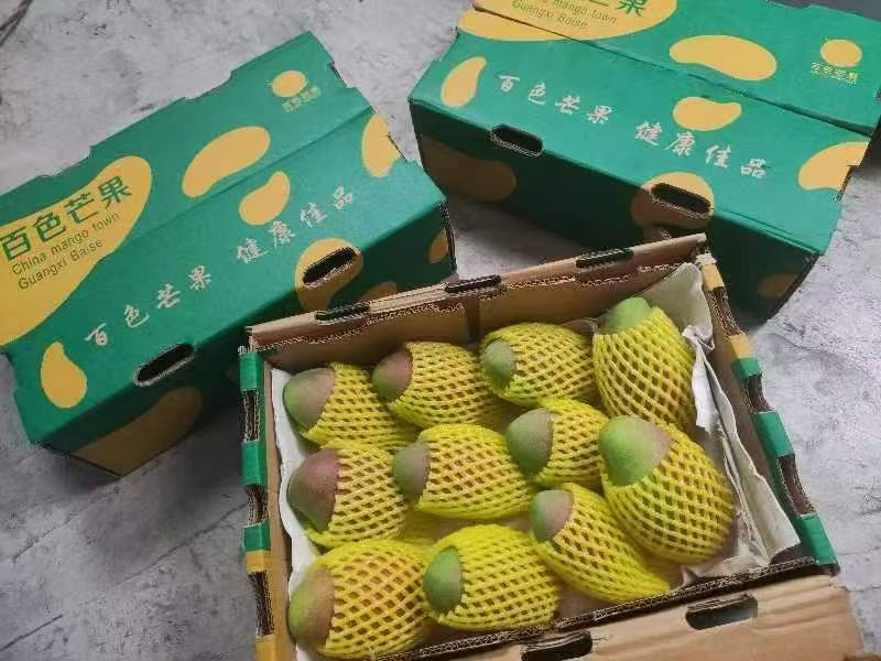 广西芒果一件代发落地配档口买货让您省心省力的给力代收。
