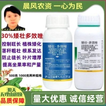 全丰控保矮壮素多效唑矮化剂多肉花卉花木矮化控旺长防徒长