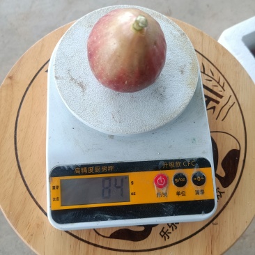 头果无花果又大又甜