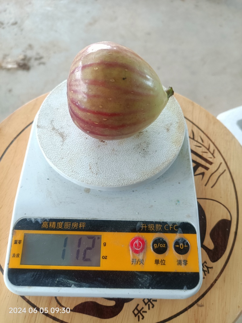 头果无花果又大又甜
