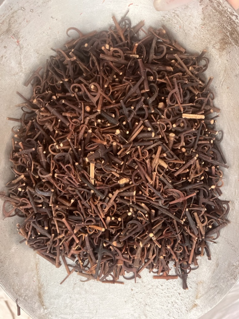 钩藤双钩钩丁各种规格