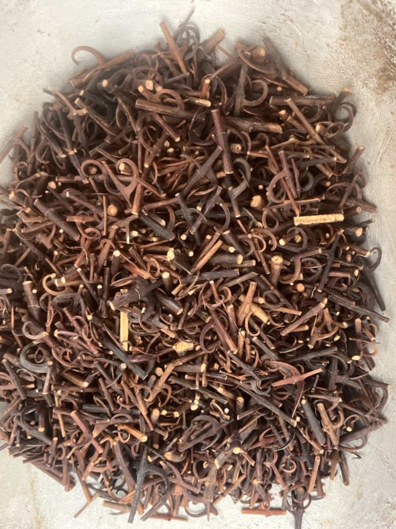 钩藤双钩钩丁各种规格