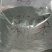 高山雲雾绿茶毛尖茶多个商品多个价位看