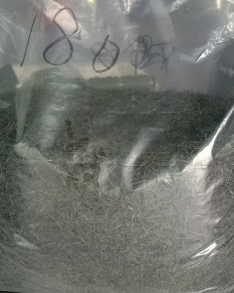 高山雲雾绿茶毛尖茶多个商品多个价位看