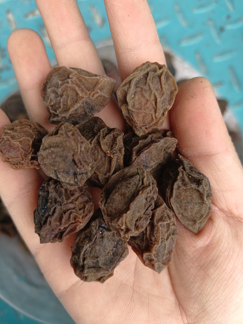 乌梅，生乌梅，制乌梅，投核乌梅，各种规格【丹丹中药】