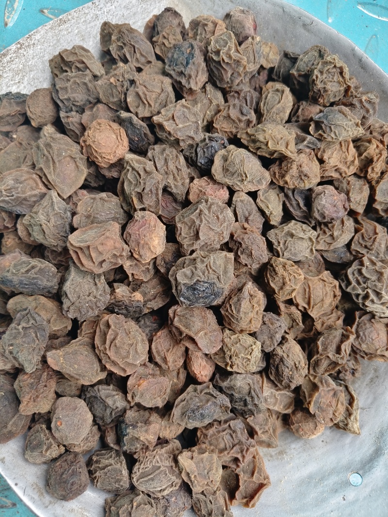 乌梅，生乌梅，制乌梅，投核乌梅，各种规格【丹丹中药】