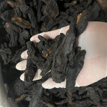 河南焦作生地黄生地统货批发零售