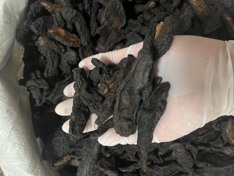 河南焦作生地黄生地统货批发零售