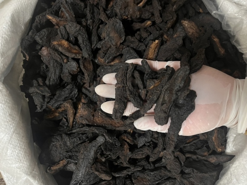 河南焦作生地黄生地统货批发零售