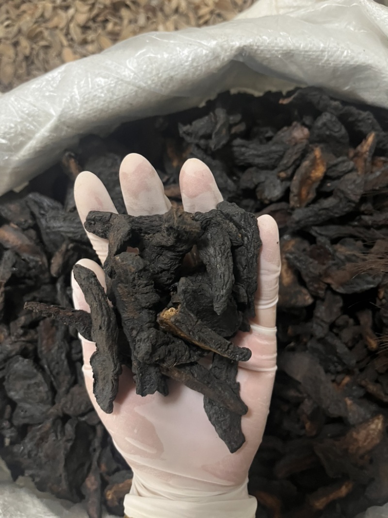 河南焦作生地黄生地统货批发零售