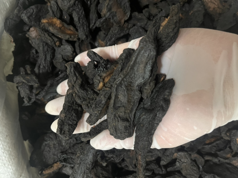 河南焦作生地黄生地统货批发零售