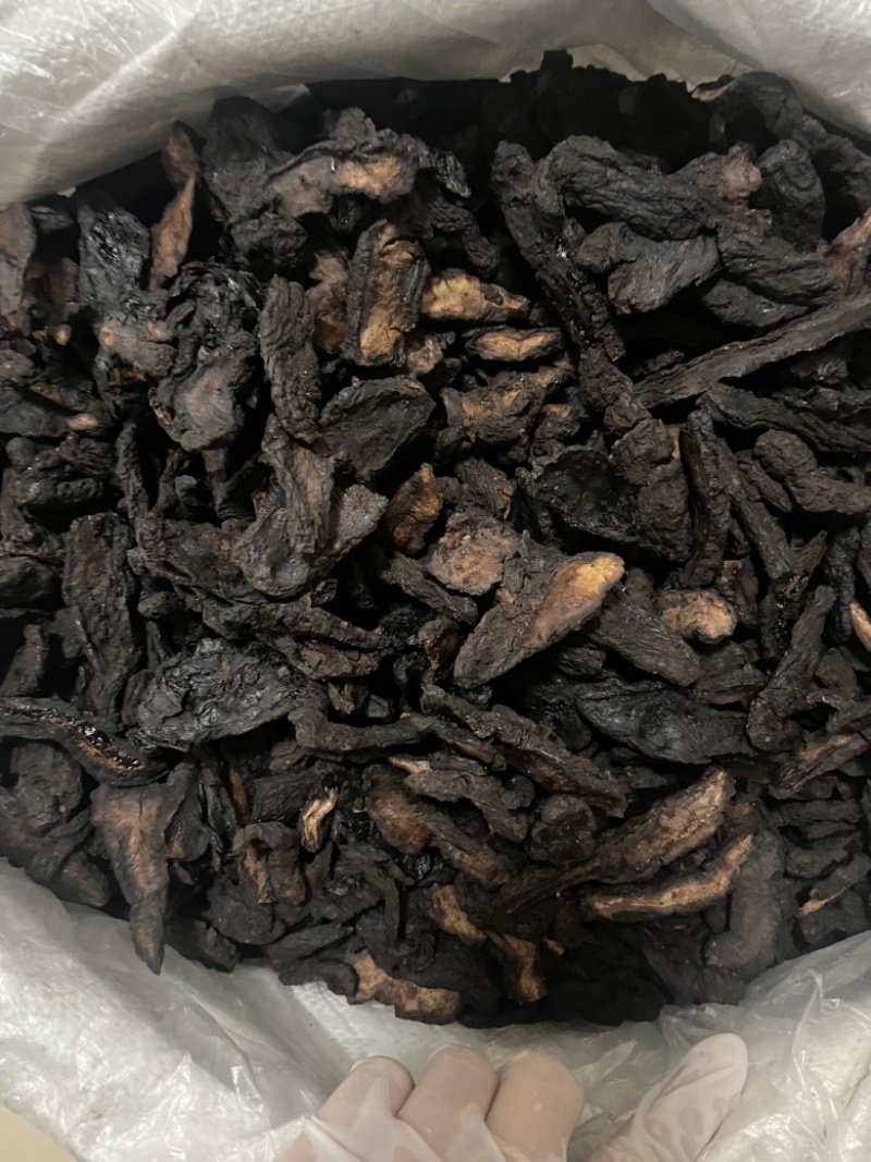 河南焦作生地黄生地统货批发零售