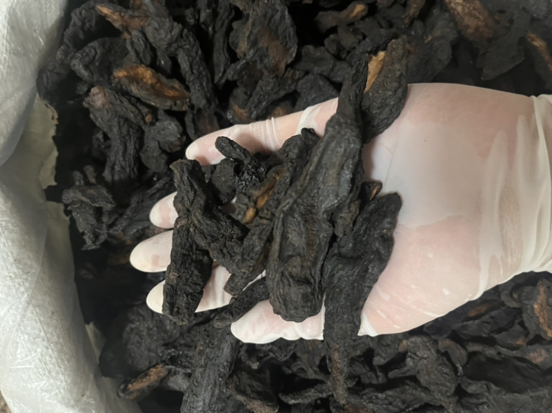河南焦作生地黄生地统货批发零售