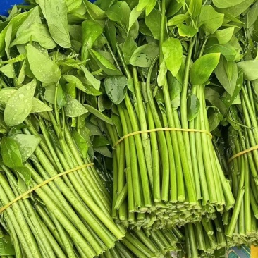 树仔菜