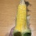 精品甜玉米，大小花，水果玉米，货源充足，价格美丽