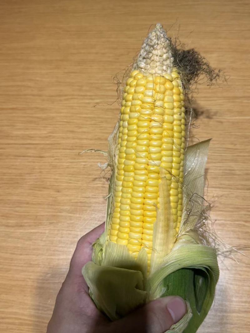 精品甜玉米，大小花，水果玉米，货源充足，价格美丽
