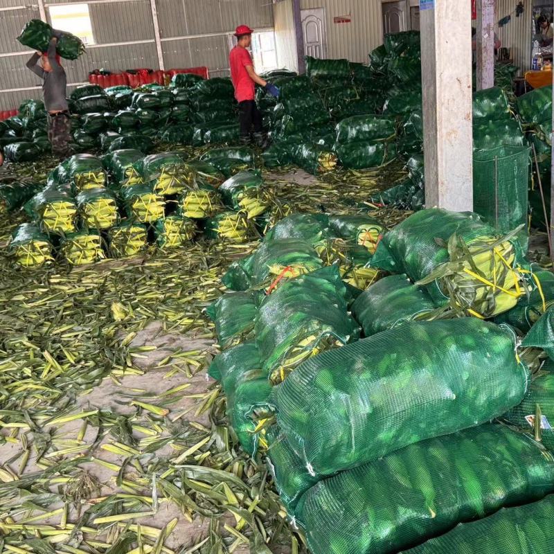 精品甜玉米，大小花，水果玉米，货源充足，价格美丽