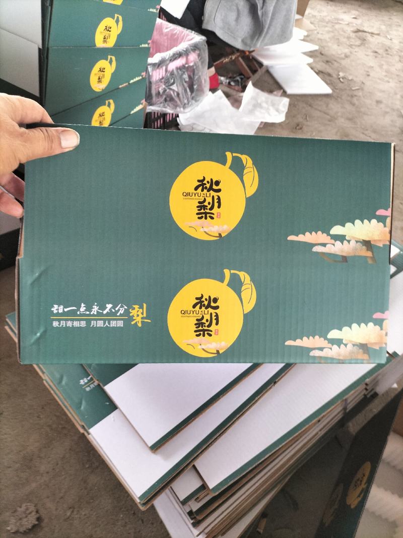 河南秋月梨新鲜上市，产地货源，质量保证量大价优，视频看货