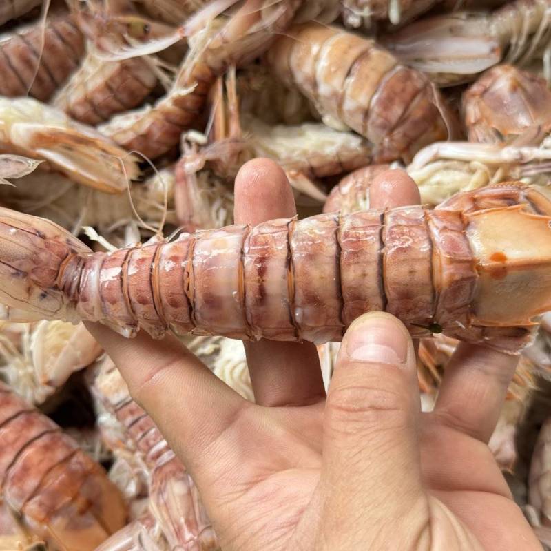 活煮皮皮虾，选用北部湾海域薄壳皮皮虾来活煮。