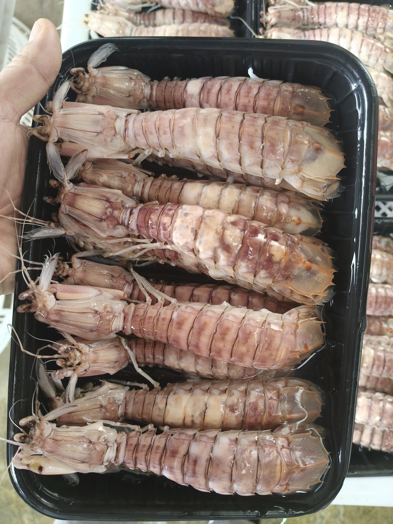活煮皮皮虾，选用北部湾海域薄壳皮皮虾来活煮。