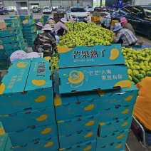 甜心金煌芒，产地直发，应季新鲜摘采，当天发货。