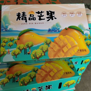 金煌芒礼盒装，落地配，社区团购，电商一件代发。
