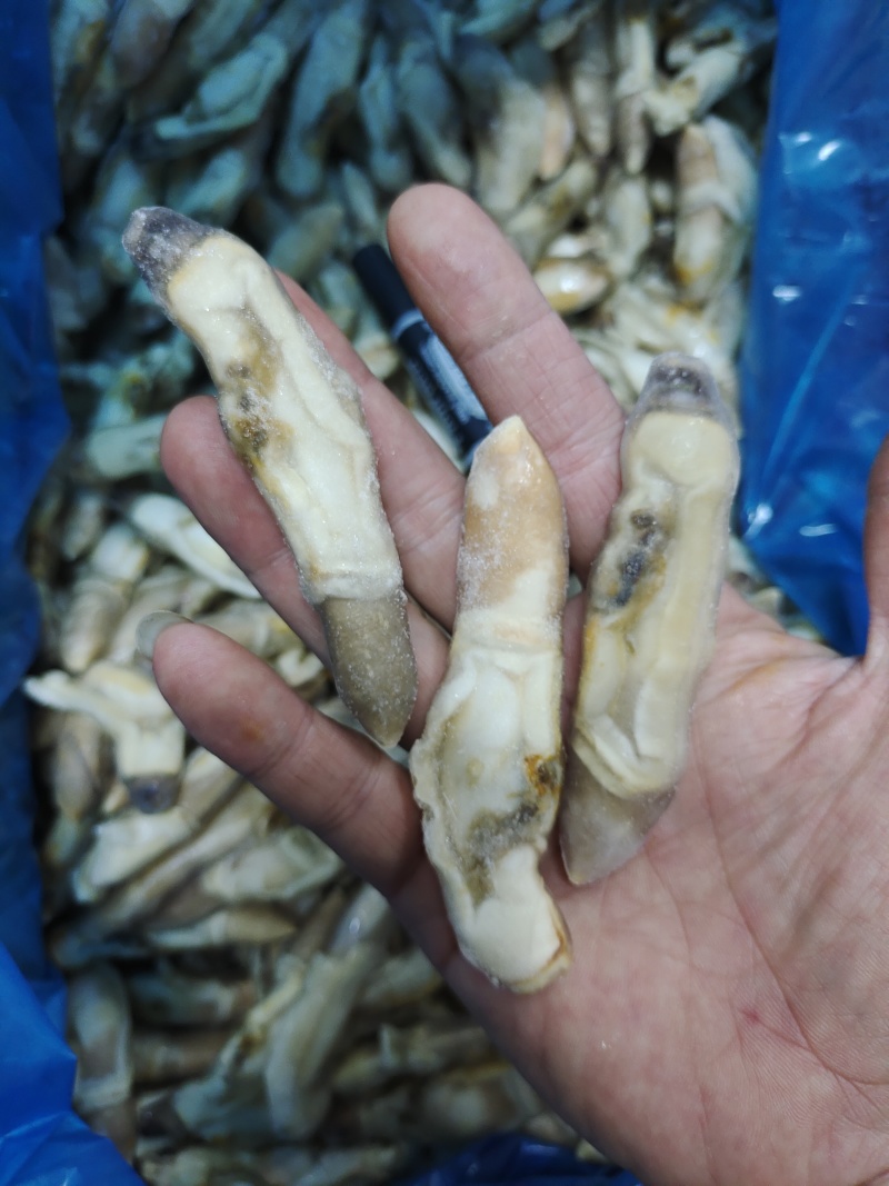单冻蛏子肉，整件批发，每件重20斤。。。。