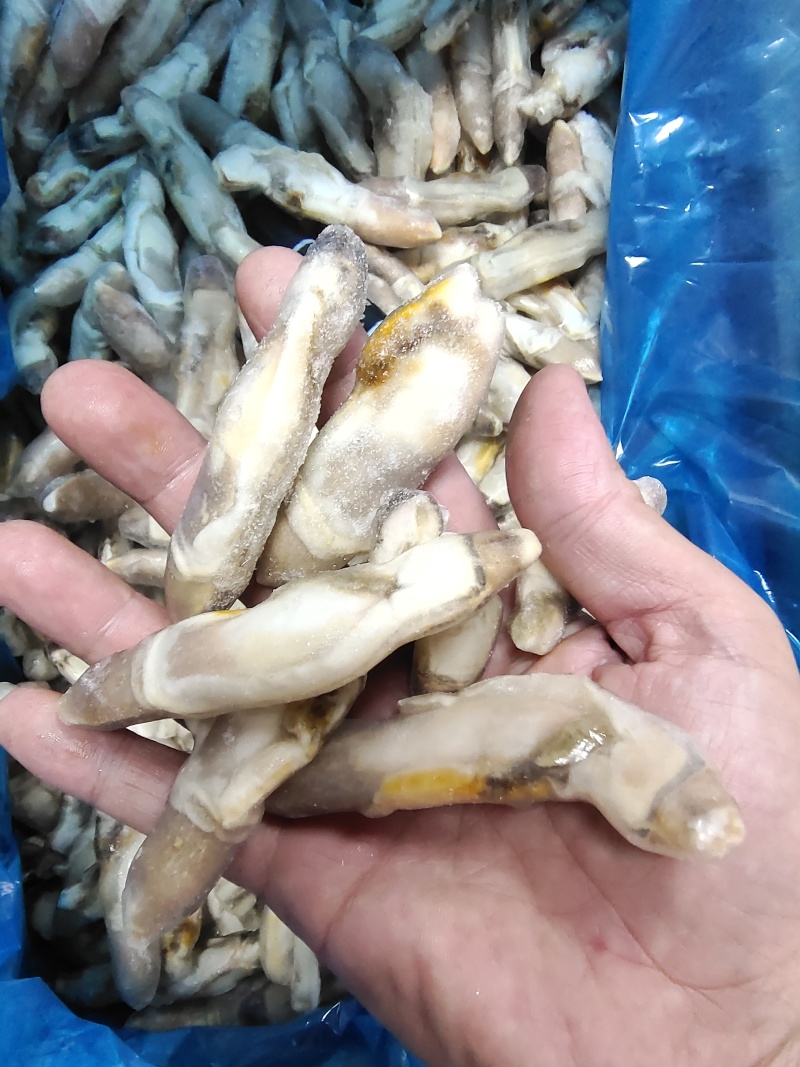 单冻蛏子肉，整件批发，每件重20斤。。。。