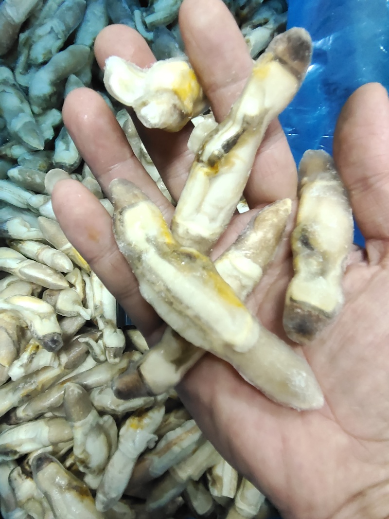 单冻蛏子肉，整件批发，每件重20斤。。。。