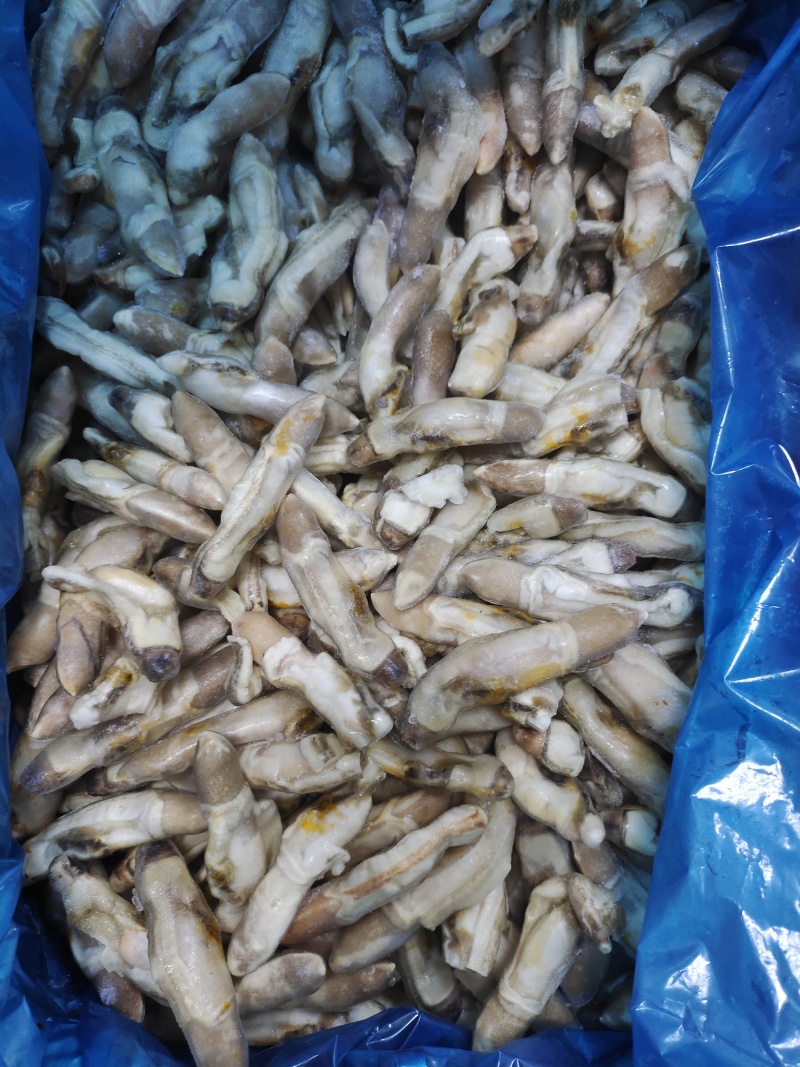 单冻蛏子肉，整件批发，每件重20斤。。。。