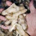单冻蛏子肉，整件批发，每件重20斤。。。。