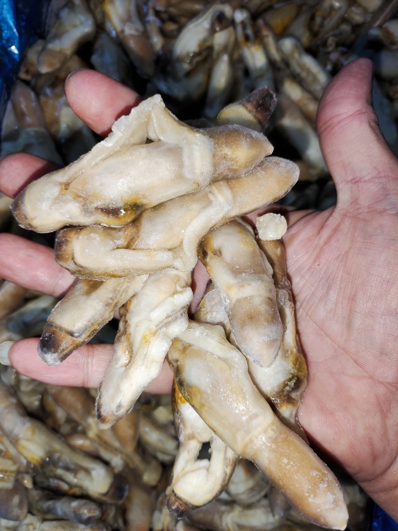 单冻蛏子肉，整件批发，每件重20斤。。。。