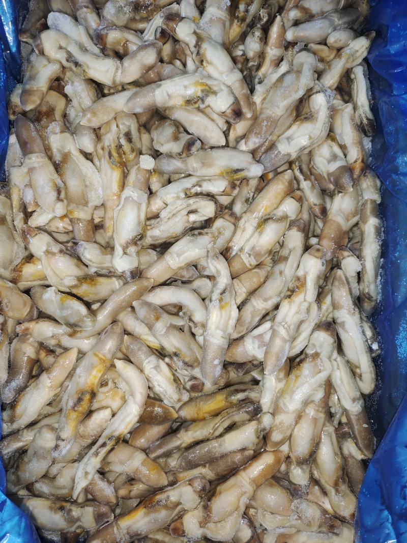 单冻蛏子肉，整件批发，每件重20斤。。。。