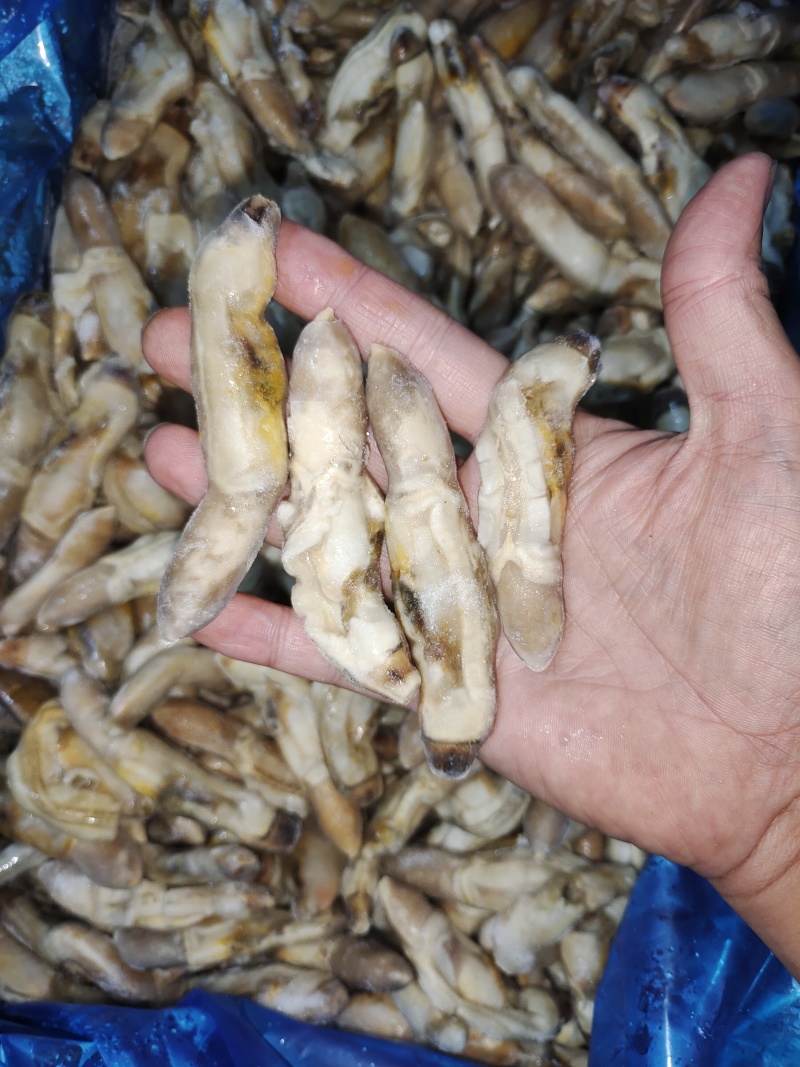 单冻蛏子肉，整件批发，每件重20斤。。。。