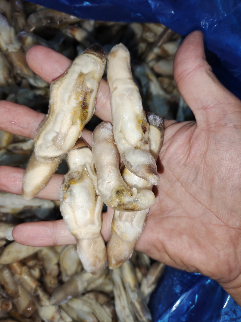 单冻蛏子肉，整件批发，每件重20斤。。。。