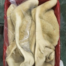 纯干半成熟牛肚