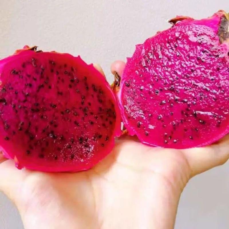 红心火龙果金都一号爆甜有机种植一件代发