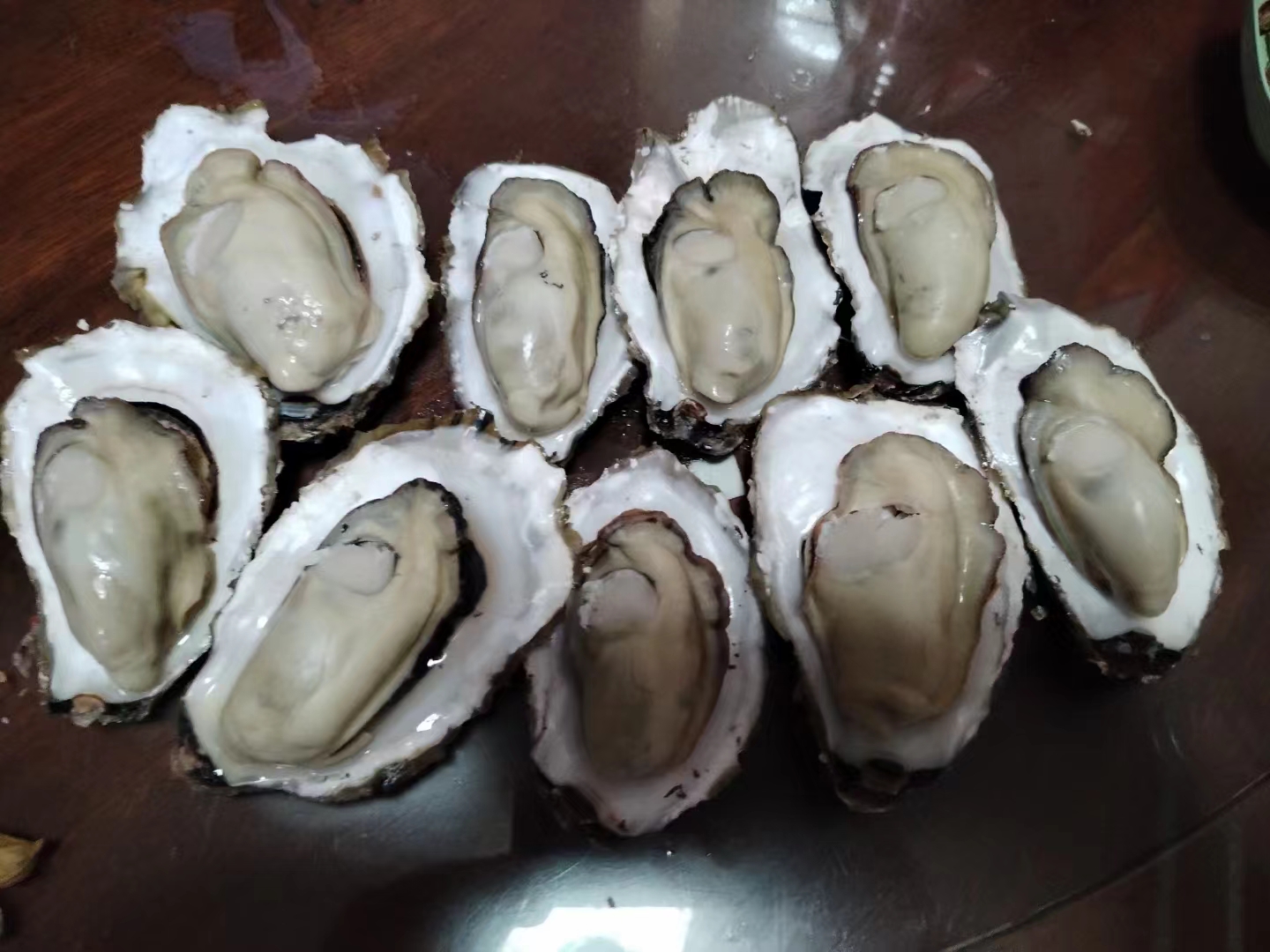 生蚝营养价值图表