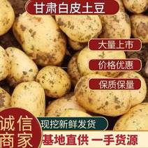 【白皮土豆】土豆大西洋土豆自家种植，品质一手货源