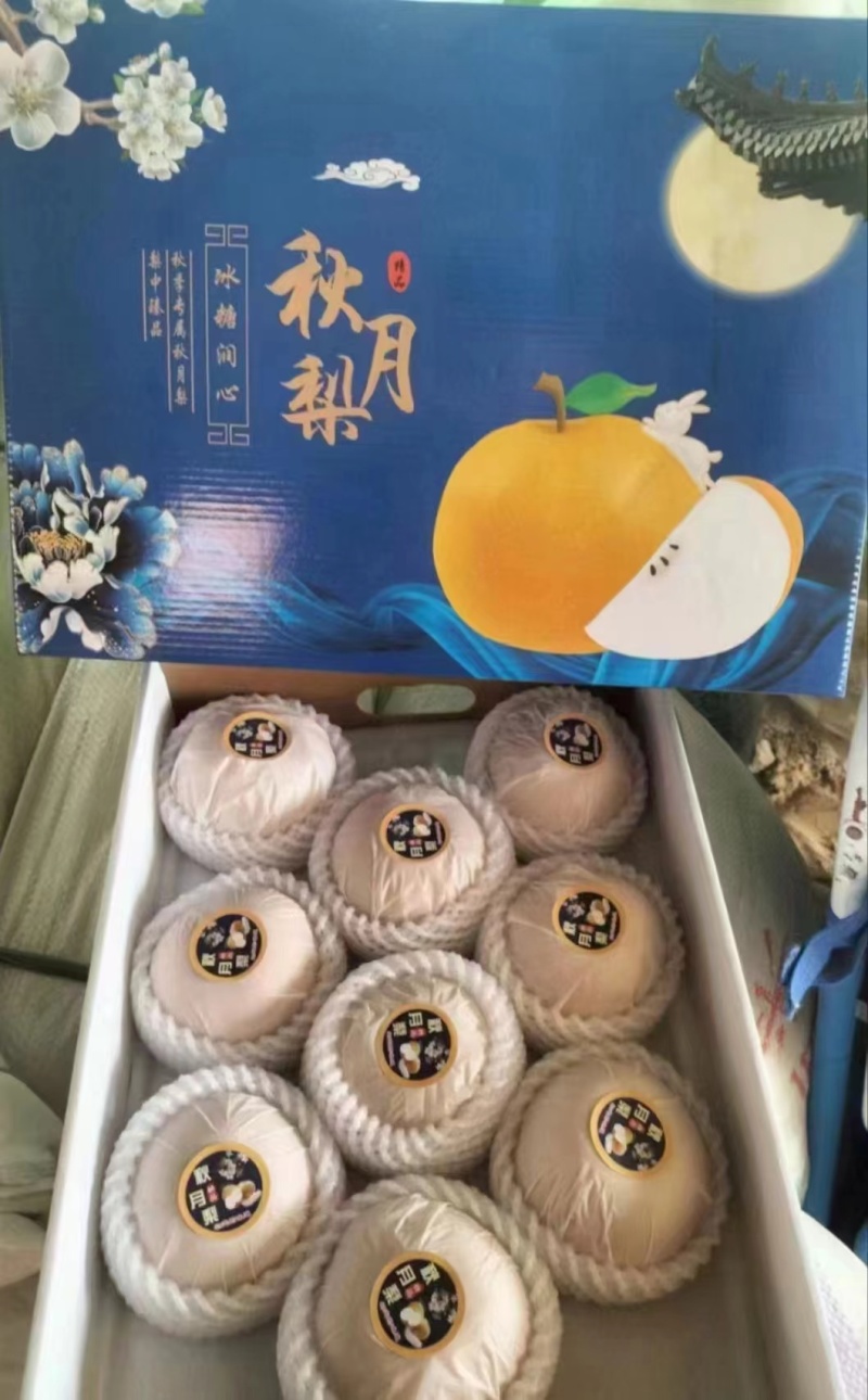 【精品】秋月梨即将大量上市，产地货源，品质保证