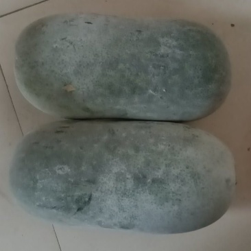 水果冬瓜