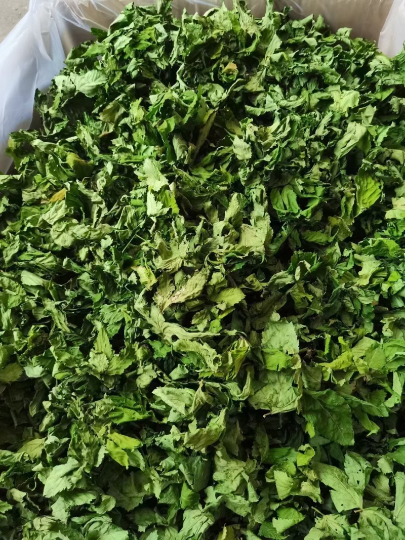 甜茶（覆盆子叶），产地直销，可零售批发，量大从优